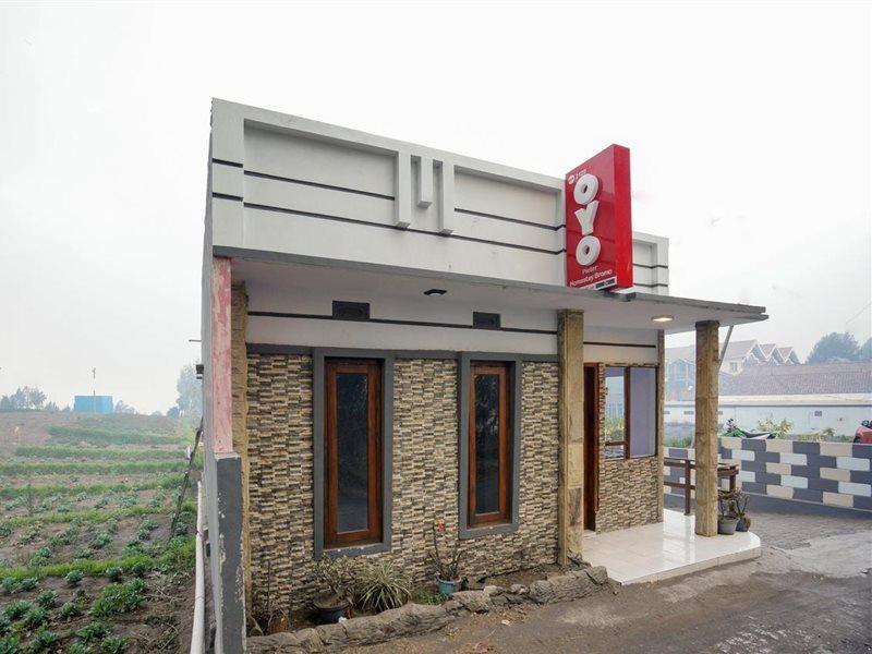 Oyo 2120 Pieter Homestay Bromo Probolinggo Exterior photo